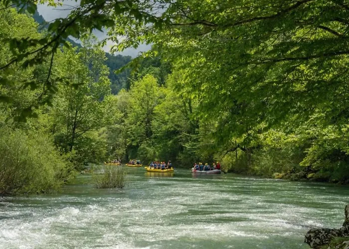 Tranquil In Kvarner Near Kupa River